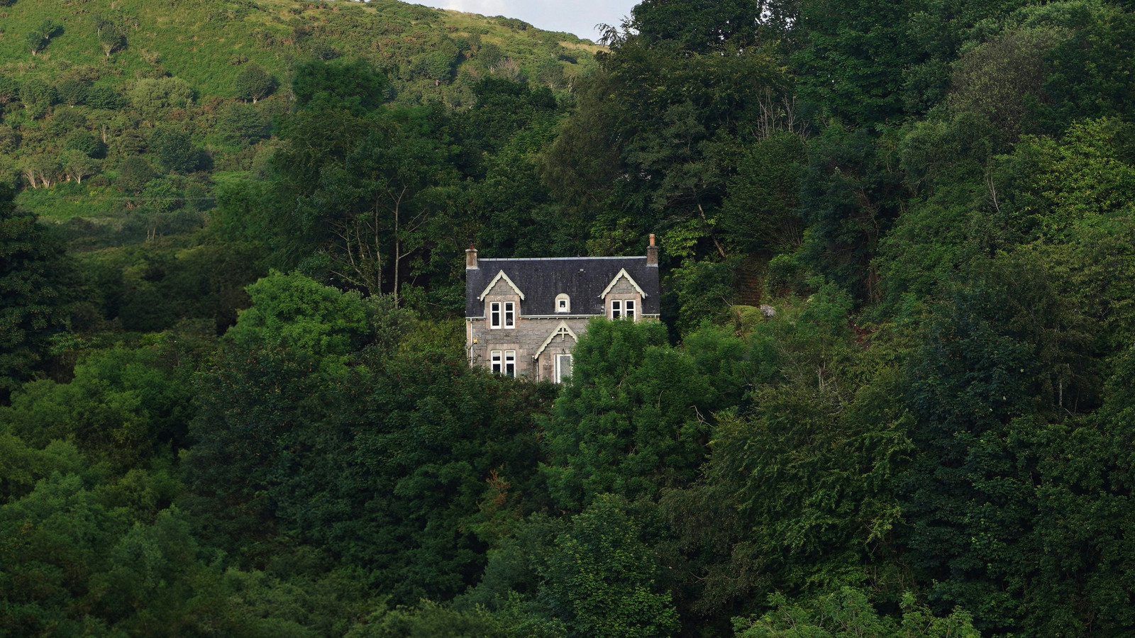 The Property Flipper’s Dilemma: Why Most Fail & How Professionals Succeed